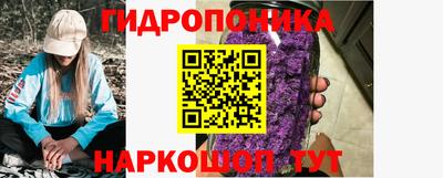 бошки Бийск