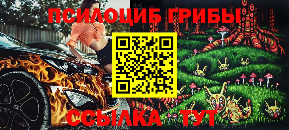 Галлюциногенные грибы GOLDEN TEACHER Мурманск